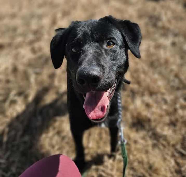 Photo of Phantom
