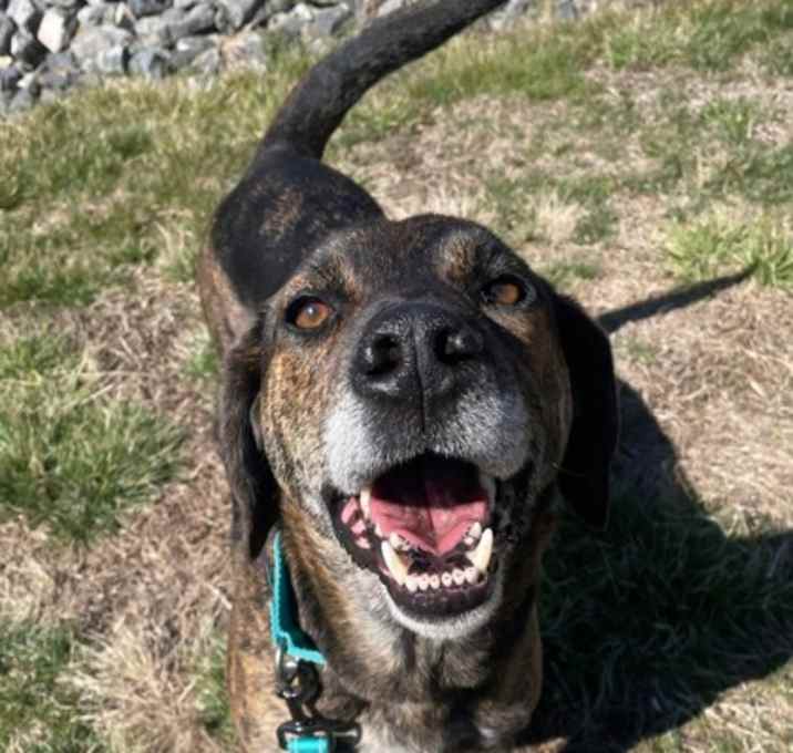 Photo of Remington
