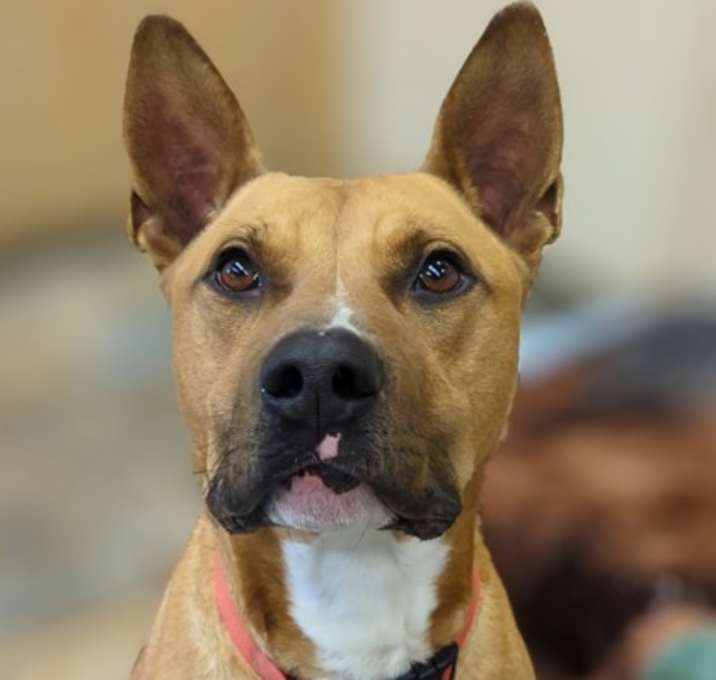 Photo of Bingo