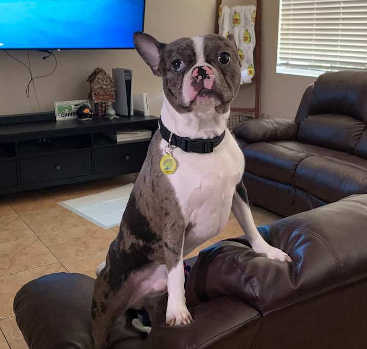 Photo of Ghost