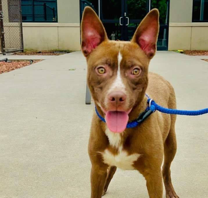 Photo of Turbo