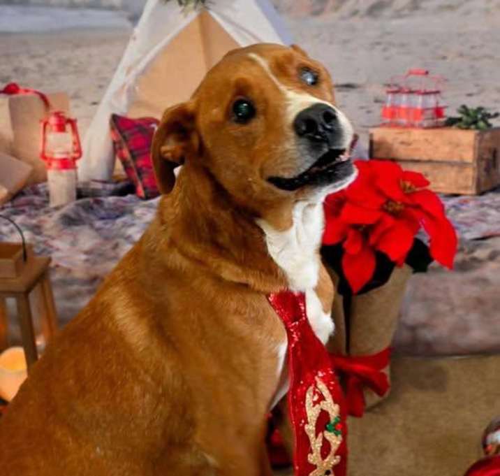 Photo of Duke