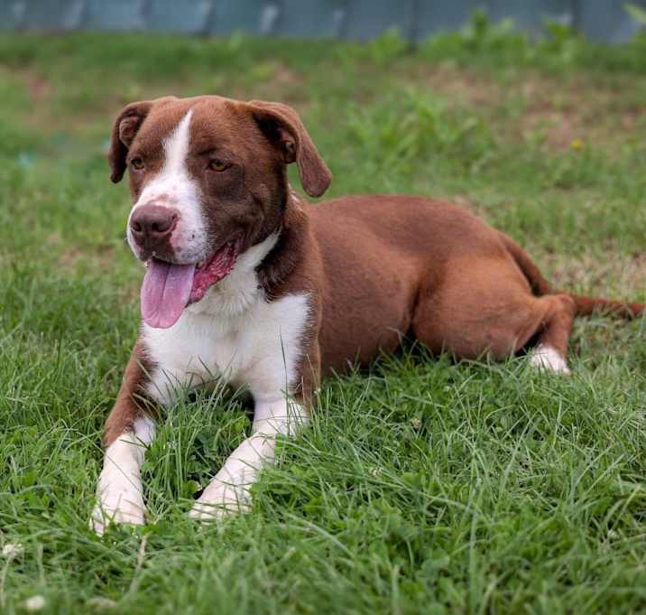 Photo of Hershey