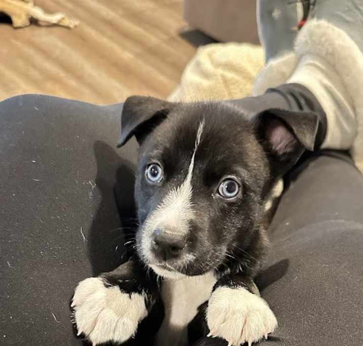 Photo of Baby Girl Astra