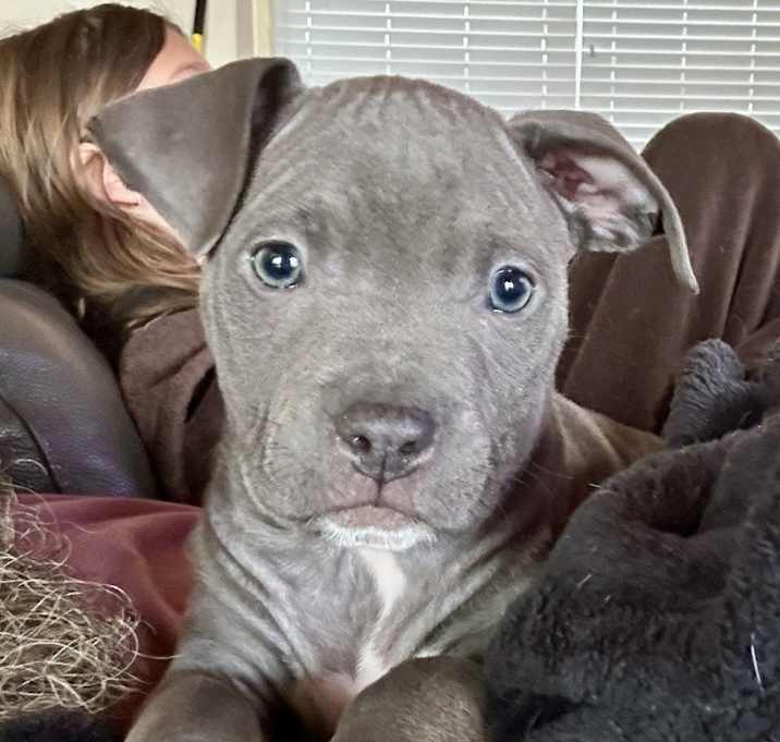 Photo of Baby Stacey