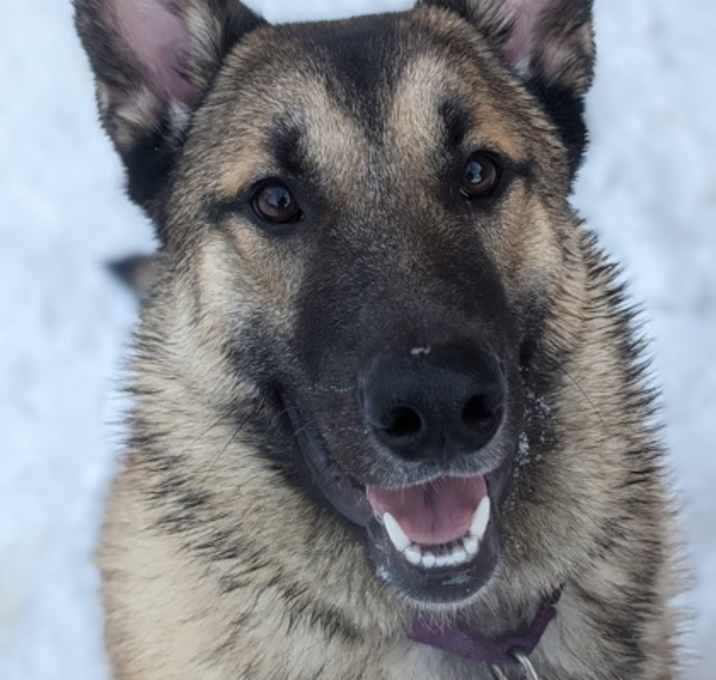 Photo of Kenzo
