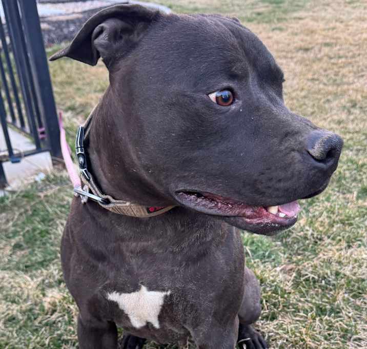 Photo of Zeus