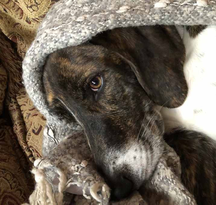 Photo of Sophie