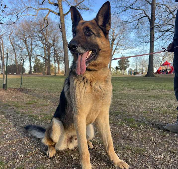 Photo of Banjo