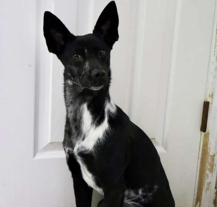 Photo of Muneca