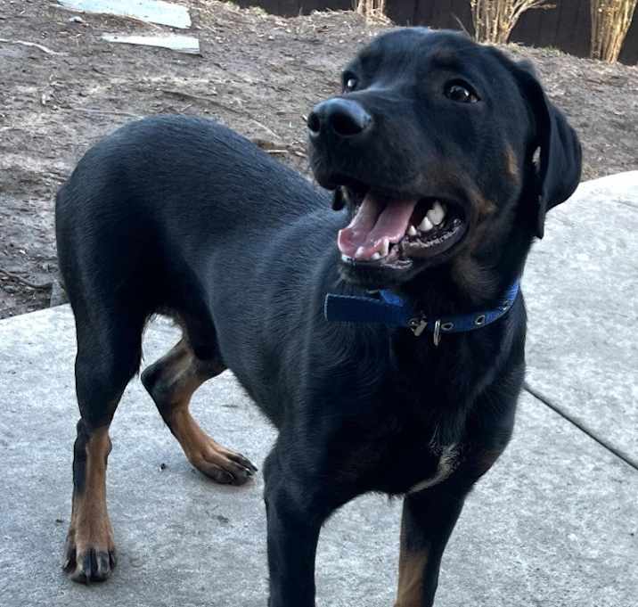 Photo of Maximus