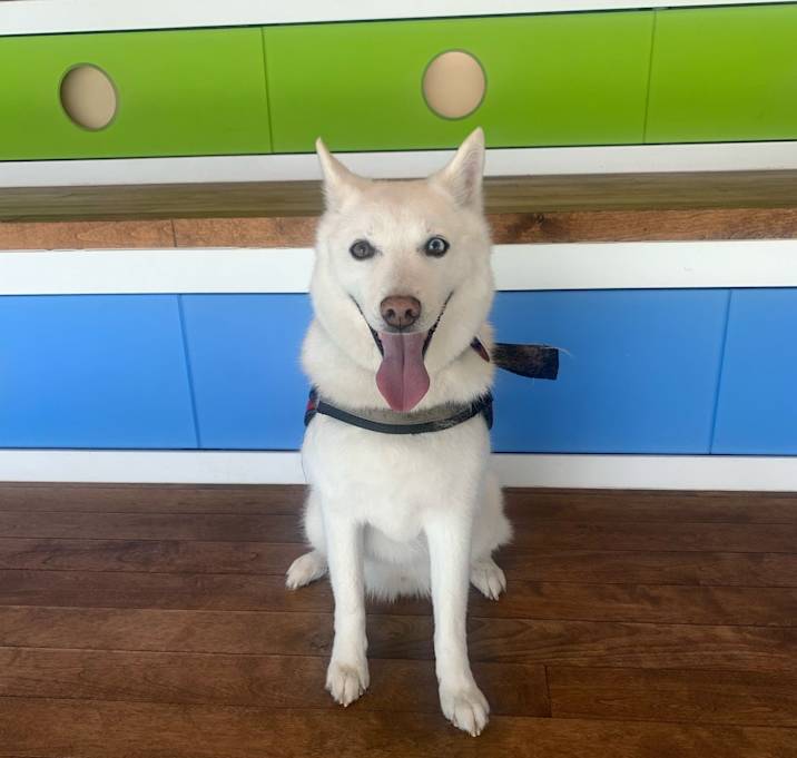 Photo of Parker