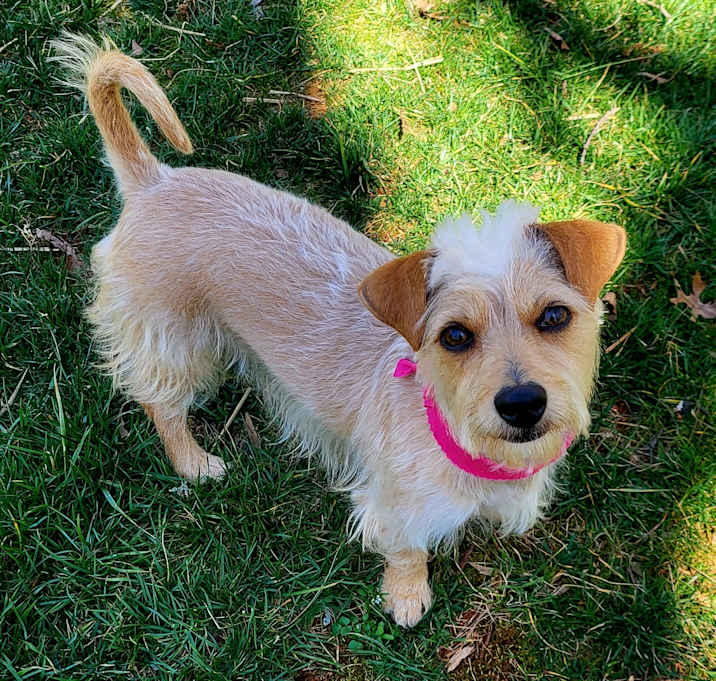 Photo of LILLY