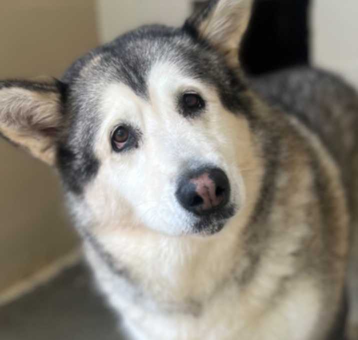 Photo of Maya