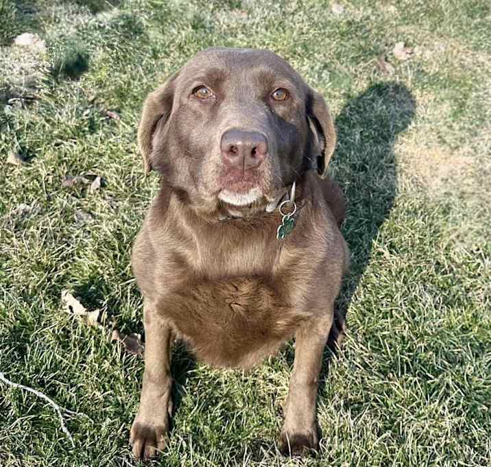 Photo of Princess