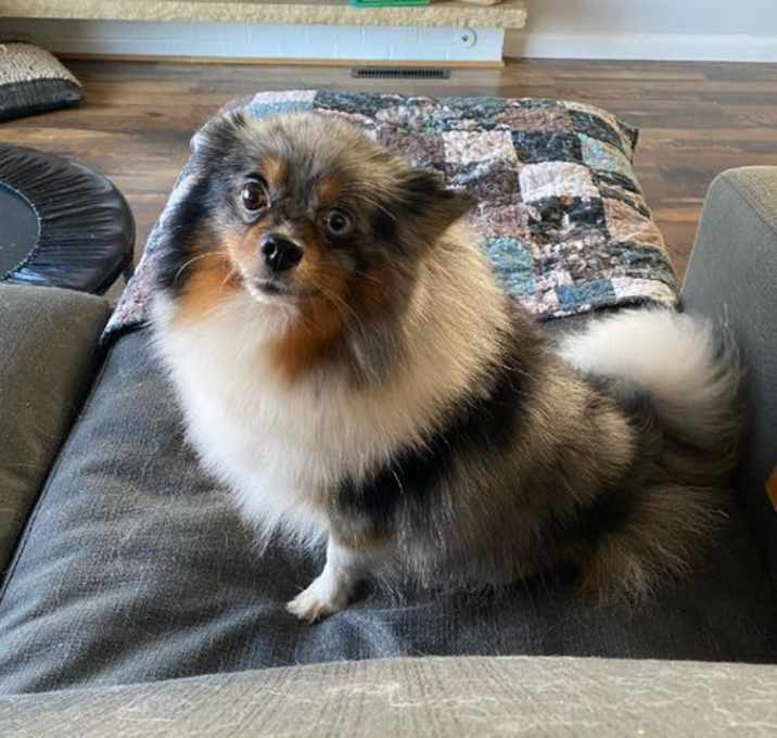 Photo of Sophia