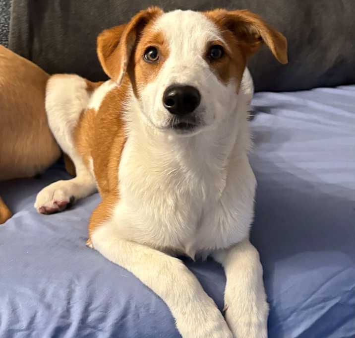 Photo of Holly