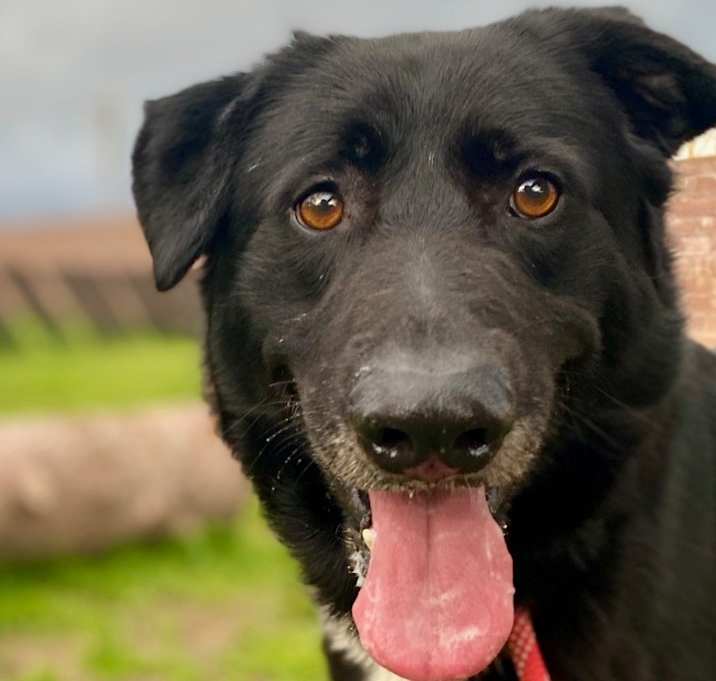 Photo of Fonzi