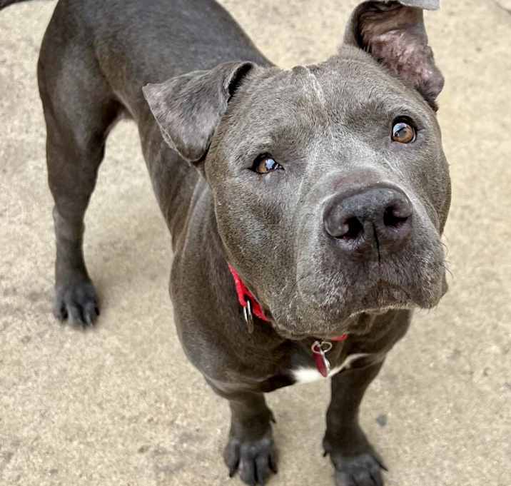 Photo of Clyde