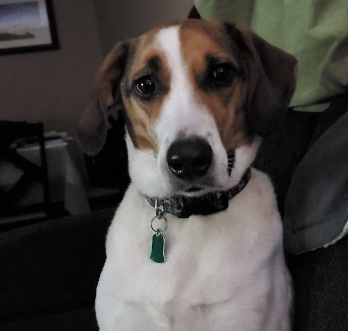 Photo of Alvin