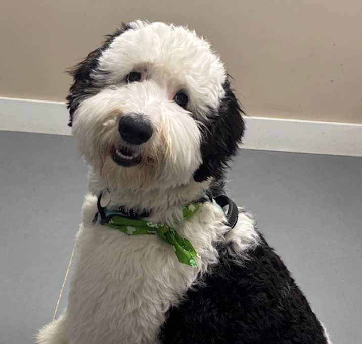 Photo of Wally