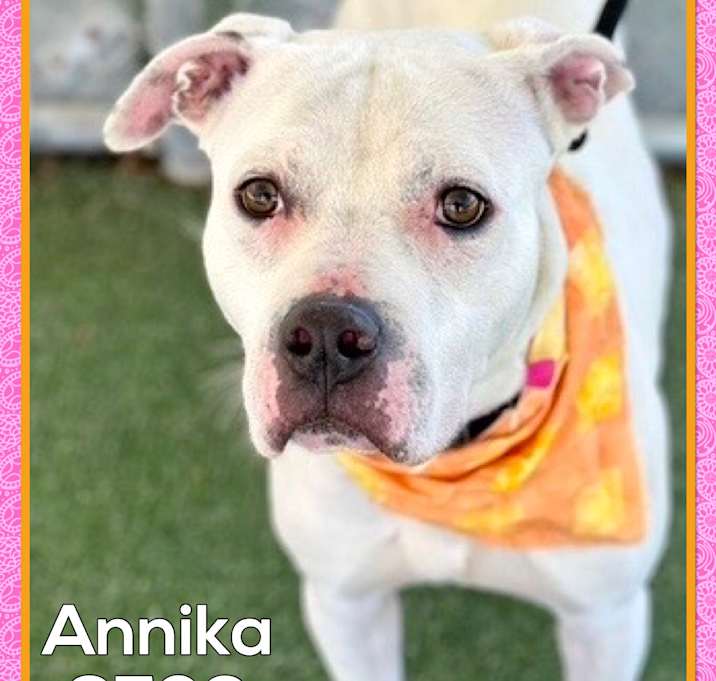 Photo of ANNIKA (also KATRIN) - video