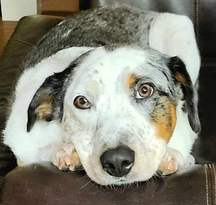 Photo of Jake