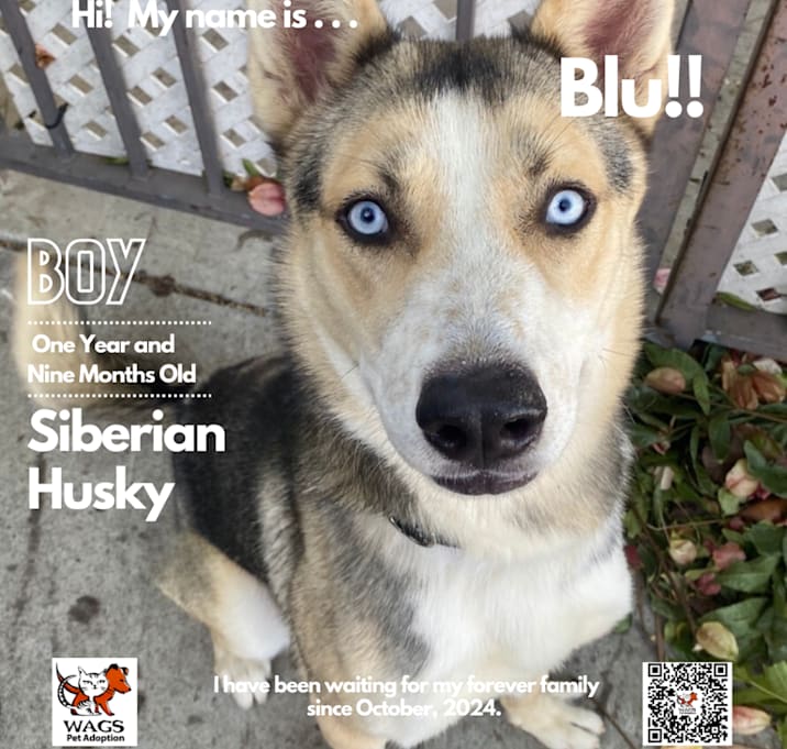 Photo of Blu