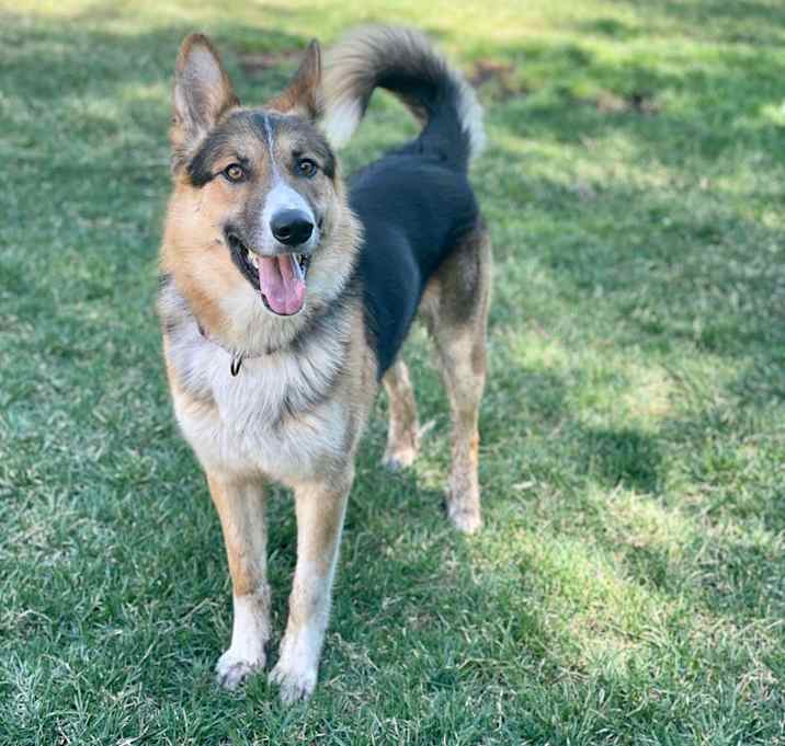 Photo of Lucas