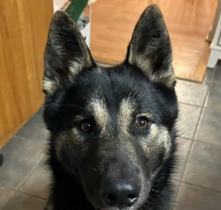 Photo of Perseus