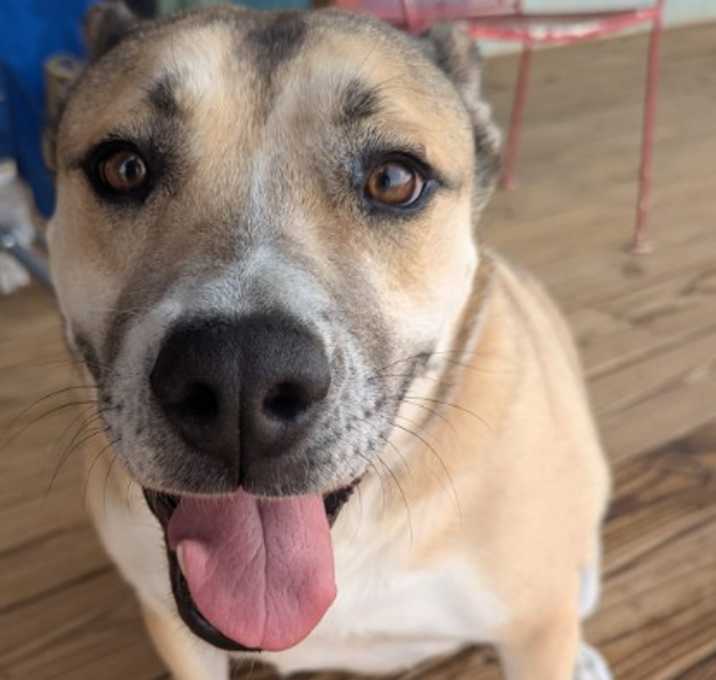 Photo of Missy