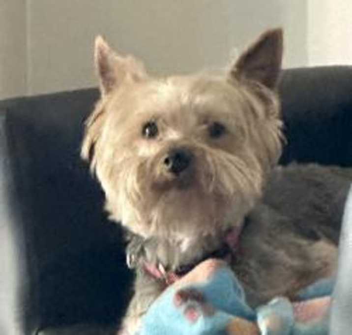 Photo of POLO