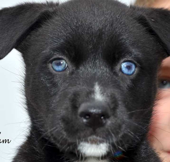 Photo of Stella