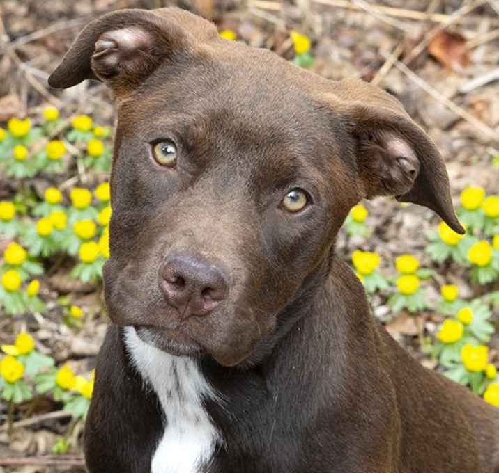 Photo of Delilah