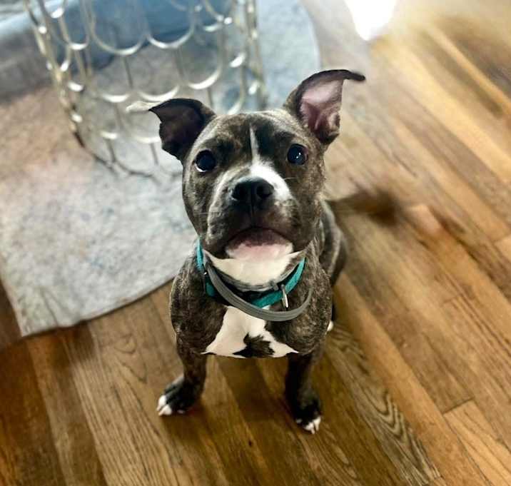 Photo of Knox