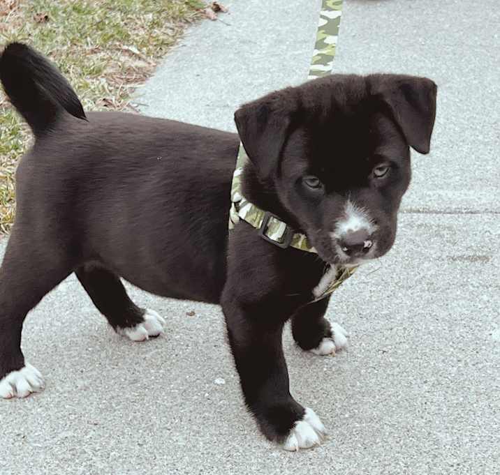 Photo of Baby Cosmo