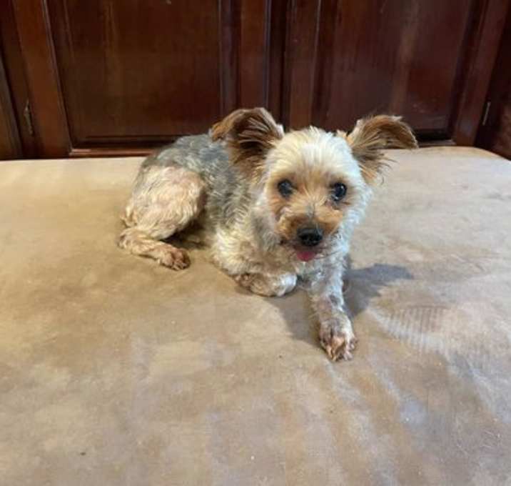 Photo of Emma Lee