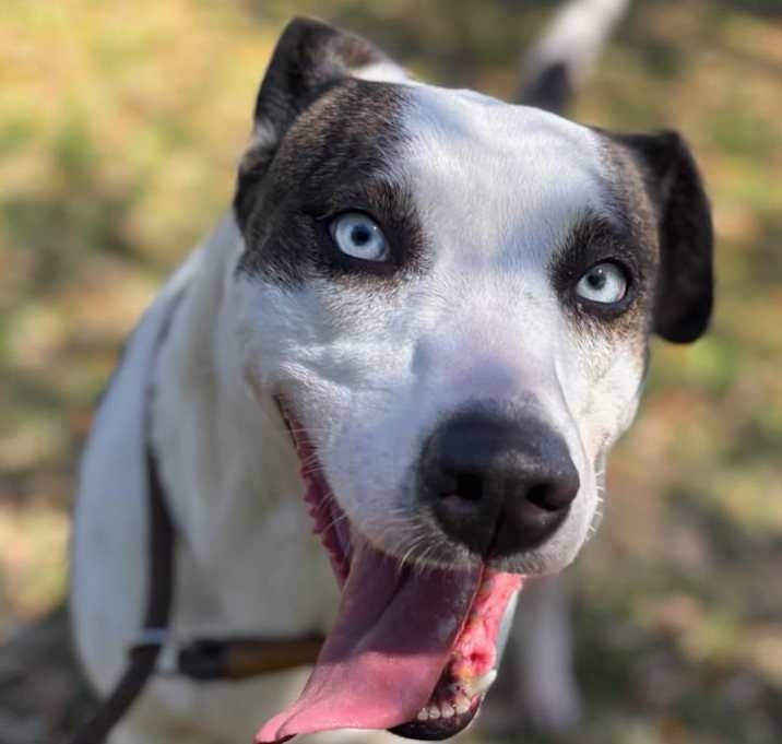 Photo of DOROTHY