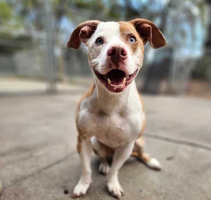 Photo of Timmy