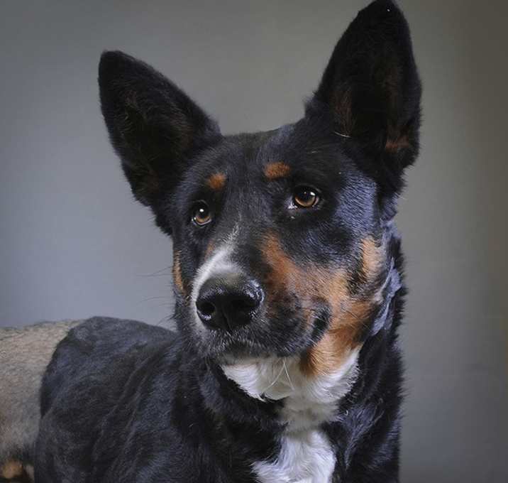 Photo of Princess