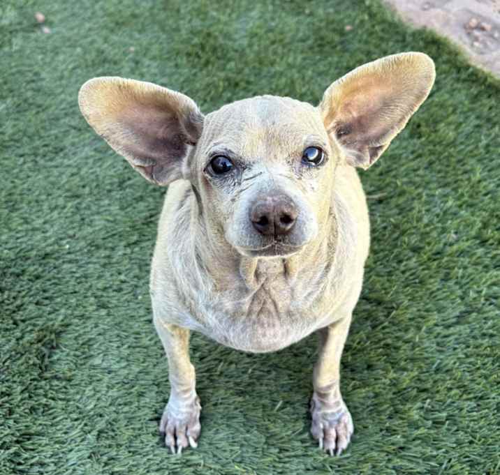 Photo of Butterball