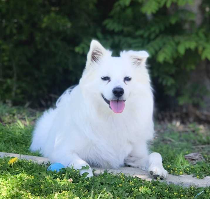 Photo of Kairos