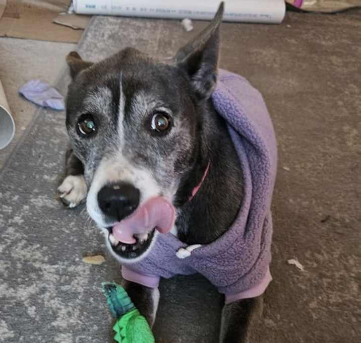 Photo of Ramona
