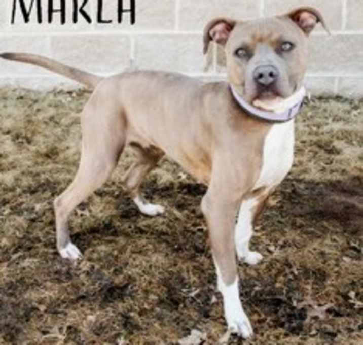 Photo of Marla
