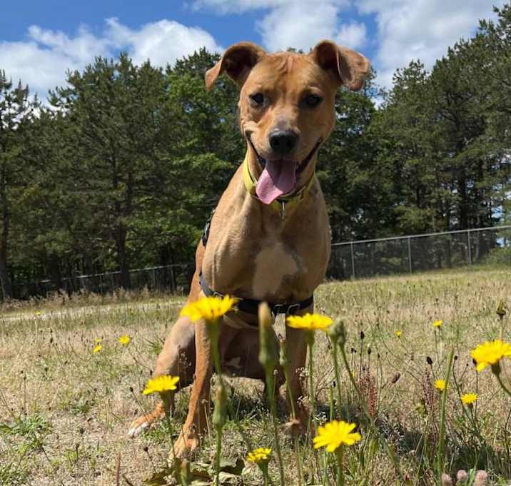 Photo of Molly