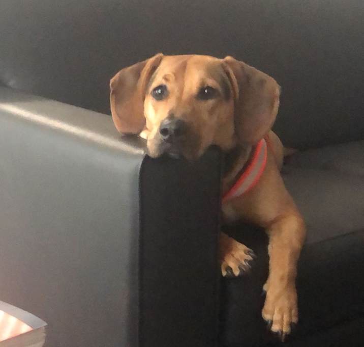 Photo of Arya