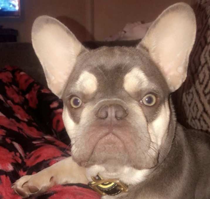 Photo of Bruce