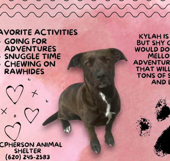Photo of Kylah