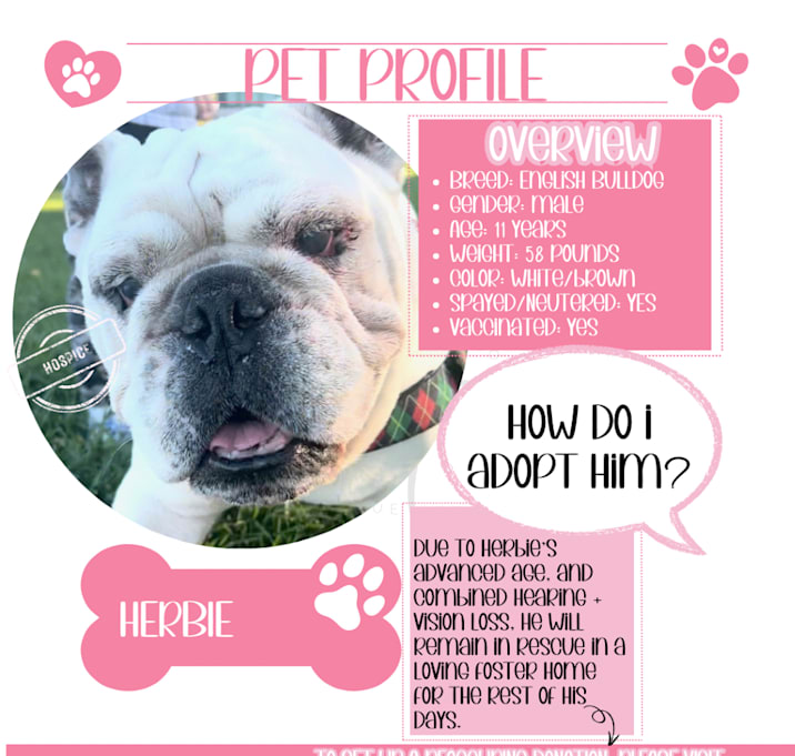 Photo of Herbie-Not accepting applications