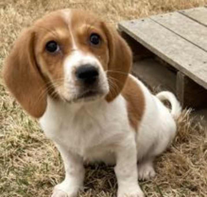 Photo of ABBY